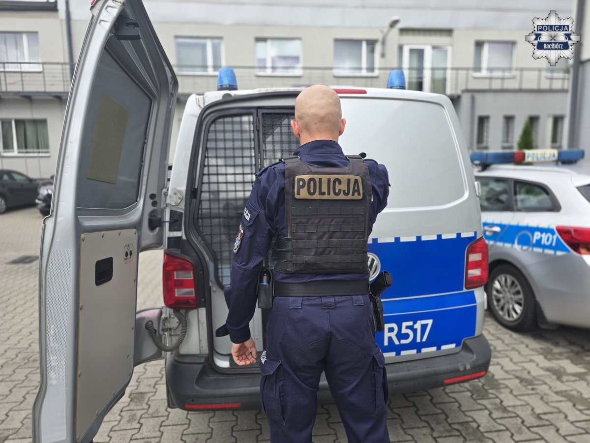 Odpowie za liczne kradzieże i włamania